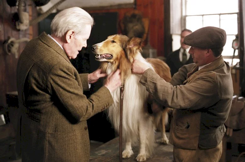 Photo 7 du film : Lassie