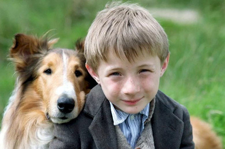 Photo 8 du film : Lassie