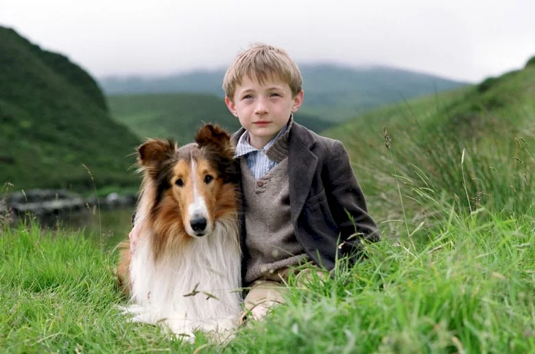 Photo du film : Lassie