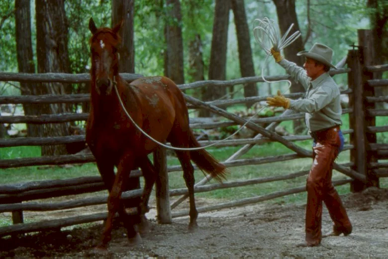 Photo 3 du film : L'homme qui murmurait à l'oreille des chevaux