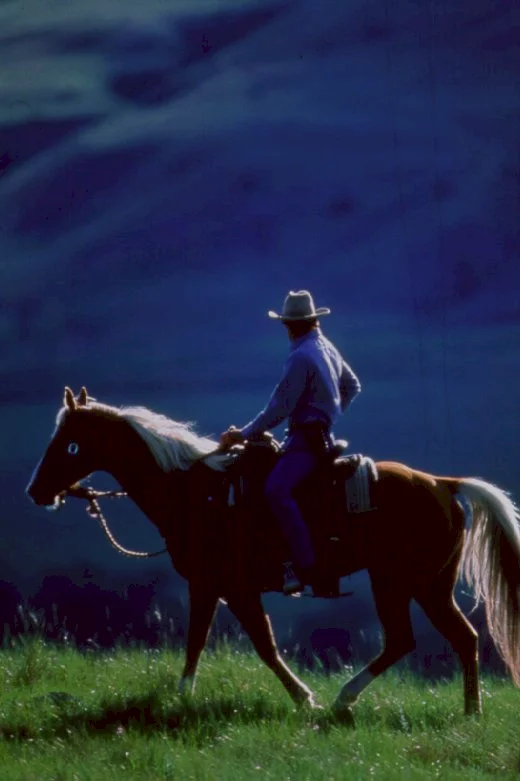 Photo 9 du film : L'homme qui murmurait à l'oreille des chevaux