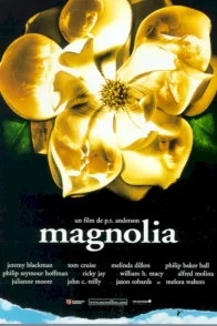 Affiche du film : Magnolia