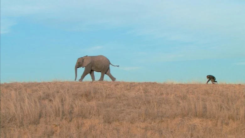 Photo du film : La balade des elephants