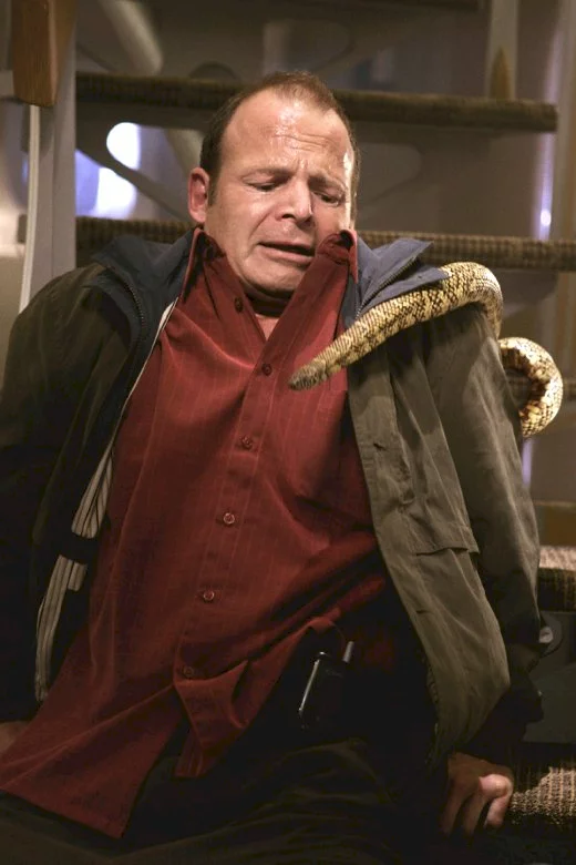 Photo du film : Des serpents dans l'avion