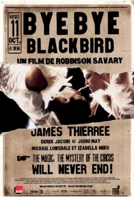 Affiche du film : Bye bye blackbird