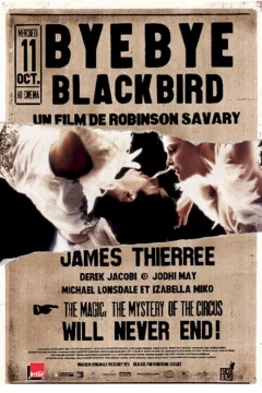 Affiche du film = Bye bye blackbird