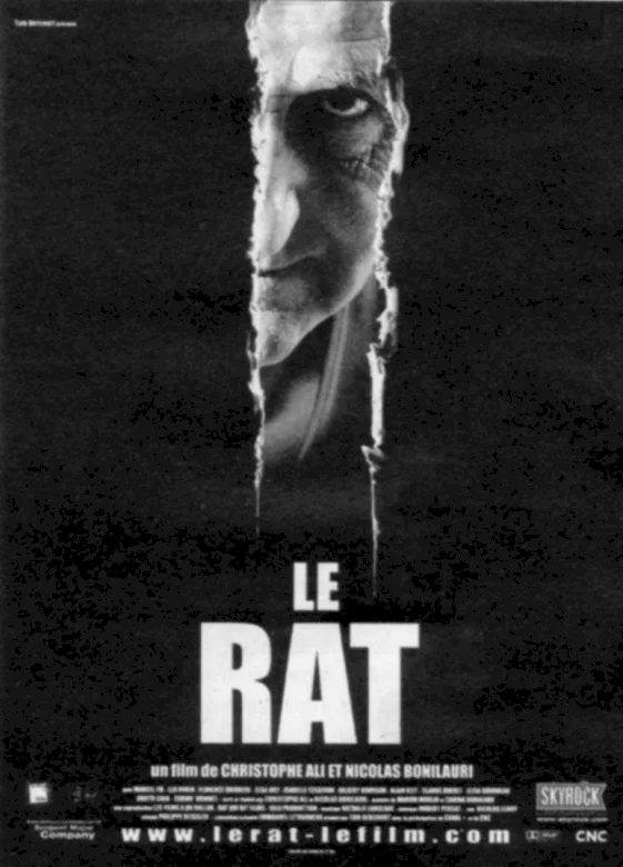 Photo du film : Le rat