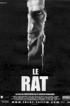 Affiche du film = Le rat