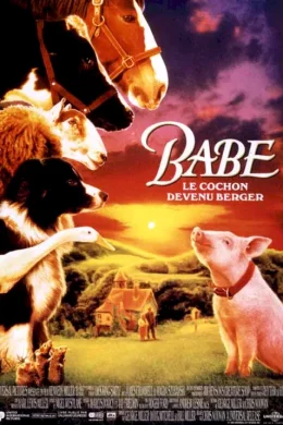 Affiche du film Babe, Le Cochon Devenu Berger