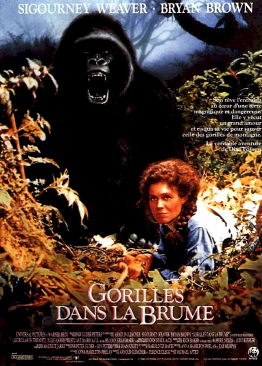 Photo 1 du film : Gorilles dans la brume