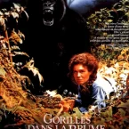 Photo du film : Gorilles dans la brume