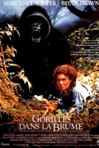 Affiche du film : Gorilles dans la brume