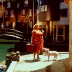 Photo du film : Babe (le cochon dans la ville)