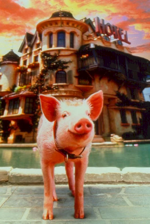 Photo du film : Babe (le cochon dans la ville)