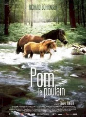 Affiche du film Pom le poulain