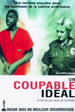 Affiche du film Un coupable ideal