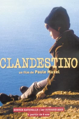 Affiche du film Clandestino