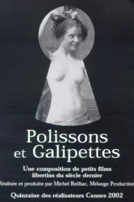 Affiche du film : Polissons et galipettes