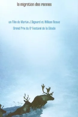 Affiche du film Le grand nord la migration des rennes