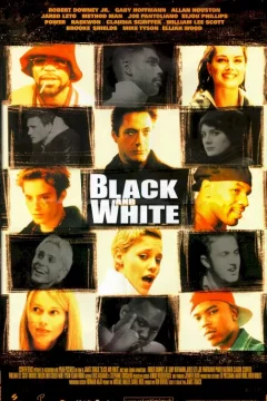 Affiche du film = Black and white
