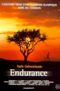 Affiche du film : Endurance