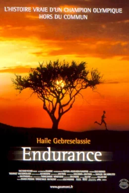 Affiche du film Endurance