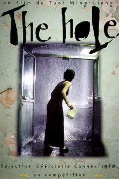 Affiche du film = The hole