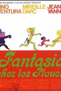 Affiche du film : Fantasia chez les ploucs