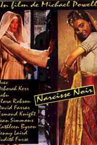 Affiche du film : Le narcisse noir