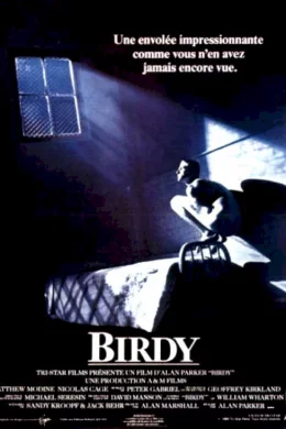 Affiche du film Birdy