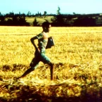Photo du film : Endurance