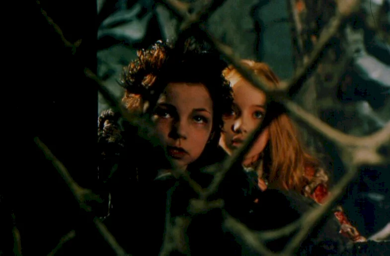 Photo 2 du film : Le petit vampire