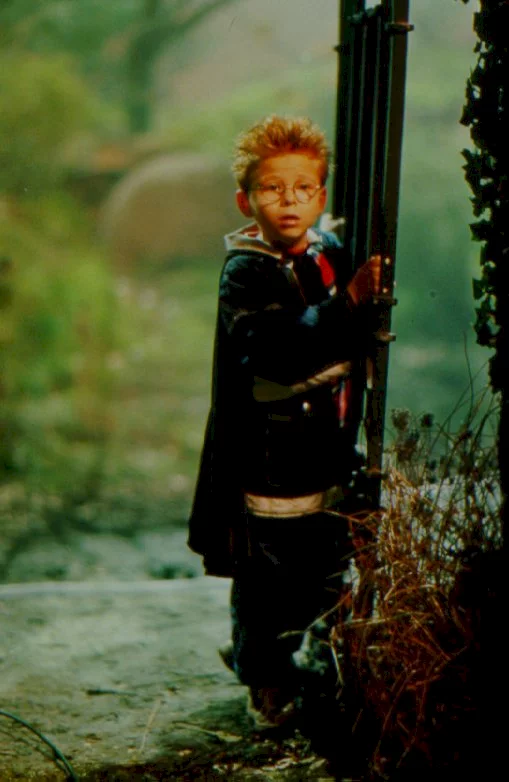 Photo 5 du film : Le petit vampire