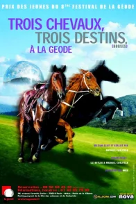 Affiche du film : Trois chevaux, trois destins