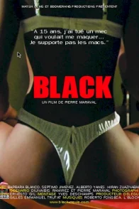 Affiche du film : Black