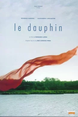 Affiche du film Le dauphin