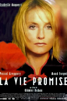 Affiche du film La vie promise