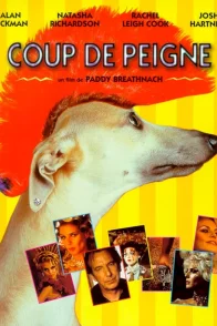 Affiche du film : Coup de peigne