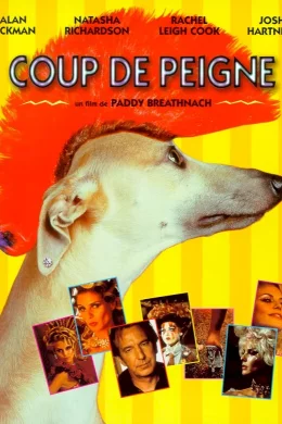 Affiche du film Coup de peigne