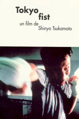 Affiche du film Tokyo fist