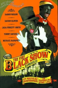 Affiche du film : The very black show