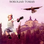 Photo du film : Thomas le fauconnier