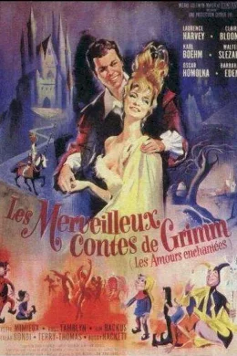 Affiche du film Les merveilleux contes de grimm