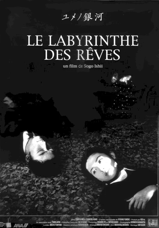 Photo du film : Le labyrinthe des reves