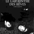 Photo du film : Le labyrinthe des reves