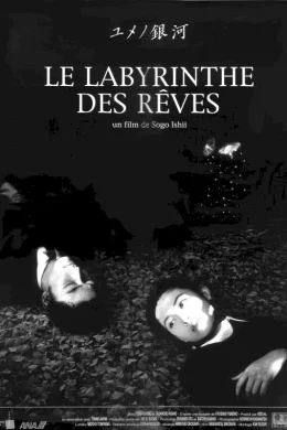 Affiche du film Le labyrinthe des reves