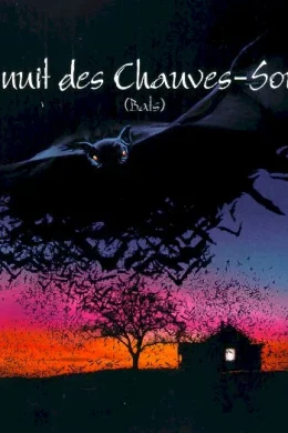 Affiche du film La nuit des chauves-souris