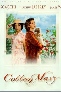 Affiche du film : Cotton mary