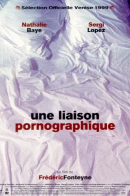 Affiche du film Une liaison pornographique