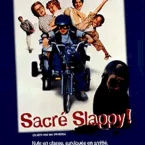 Photo du film : Sacre slappy